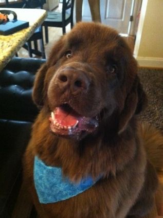 dcec4cec-b9b5-4b45-9604-0846949b0d20_zps