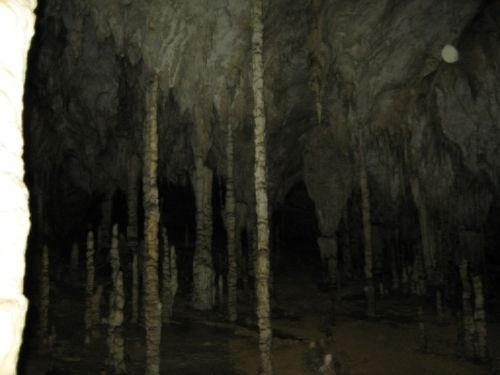 photo 7_zpstffsqs0v.jpg