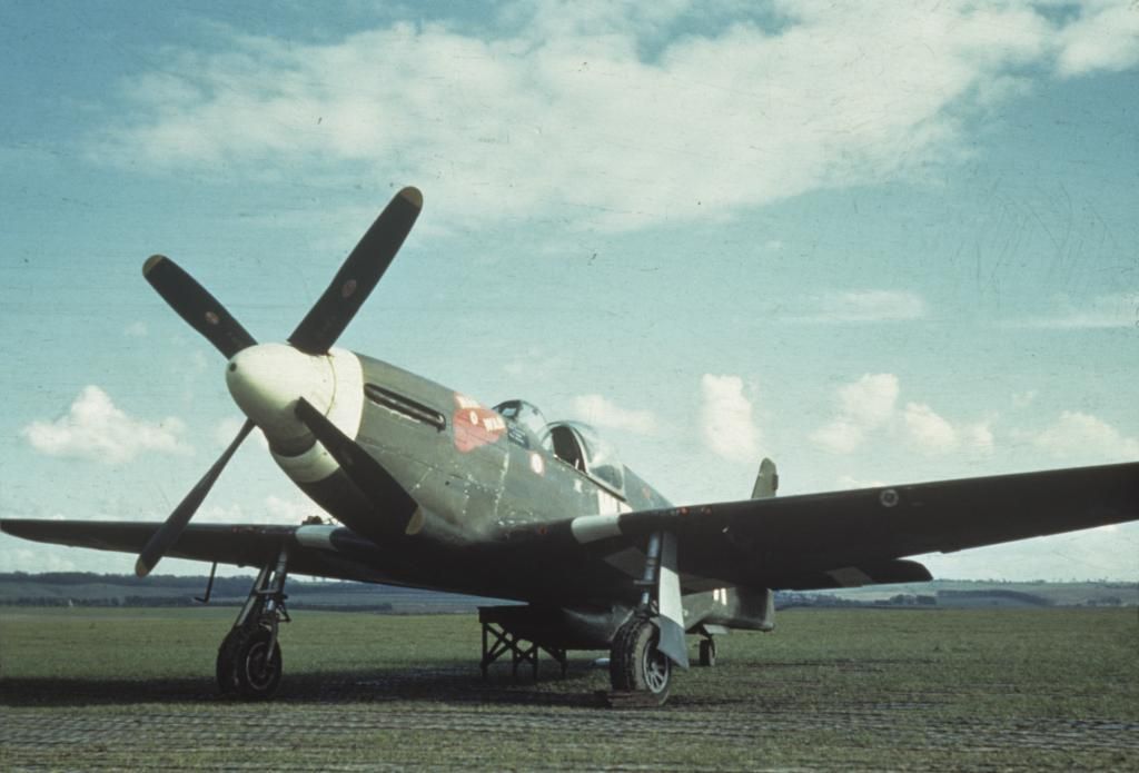 P-51MustangWR-AnicknamedManOWarofthe355t