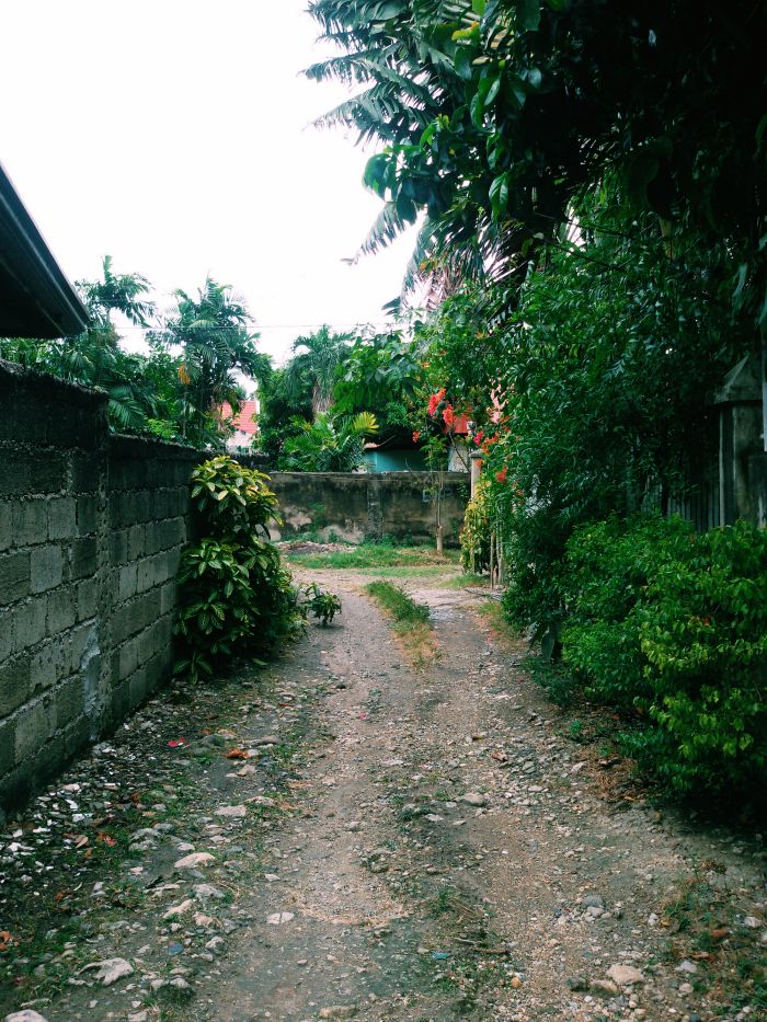 pathwalk