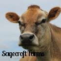 Sagecroft Farms