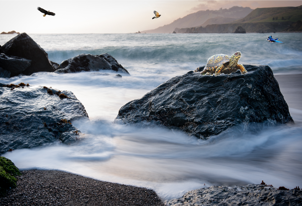 beach_zpsf40b89be.png