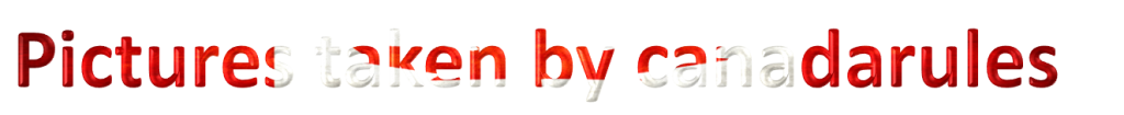 done2_zps9e45119c.png