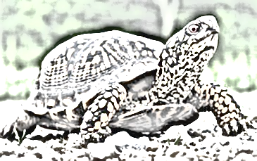 wellwell_zps1f7286fc.png